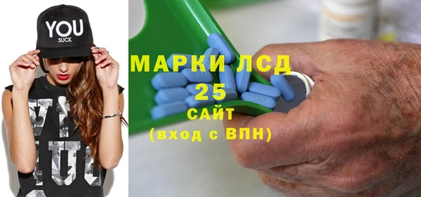 ГАЛЛЮЦИНОГЕННЫЕ ГРИБЫ Покровск