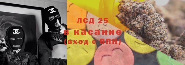 индика Балабаново