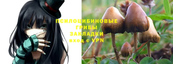 ГАЛЛЮЦИНОГЕННЫЕ ГРИБЫ Покровск