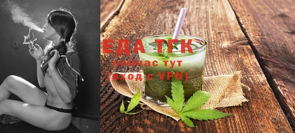 индика Балабаново